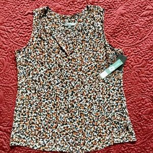 classiques entier sheer silk blouse